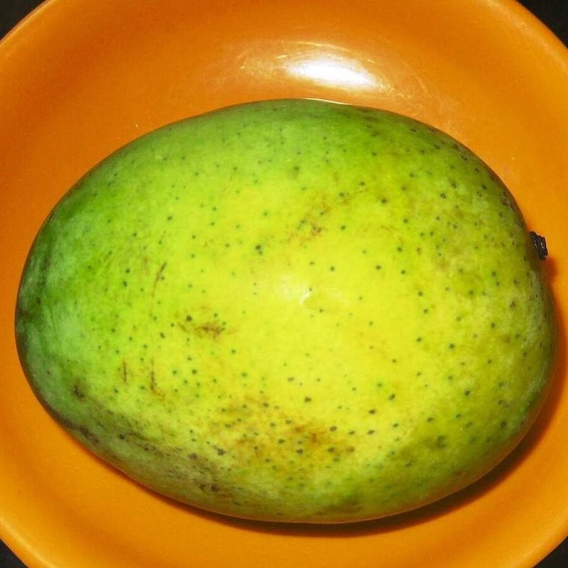 Mango Langra