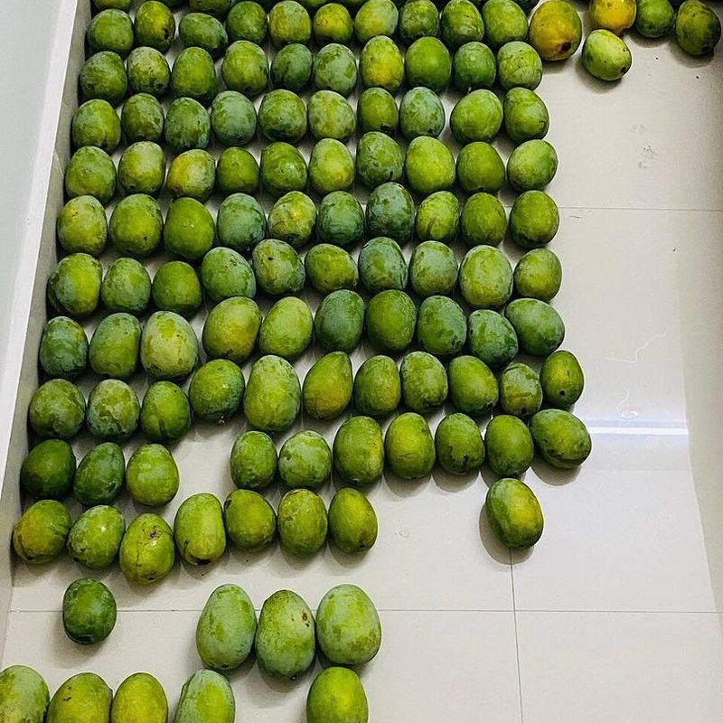 Mango Dudhiya Malda