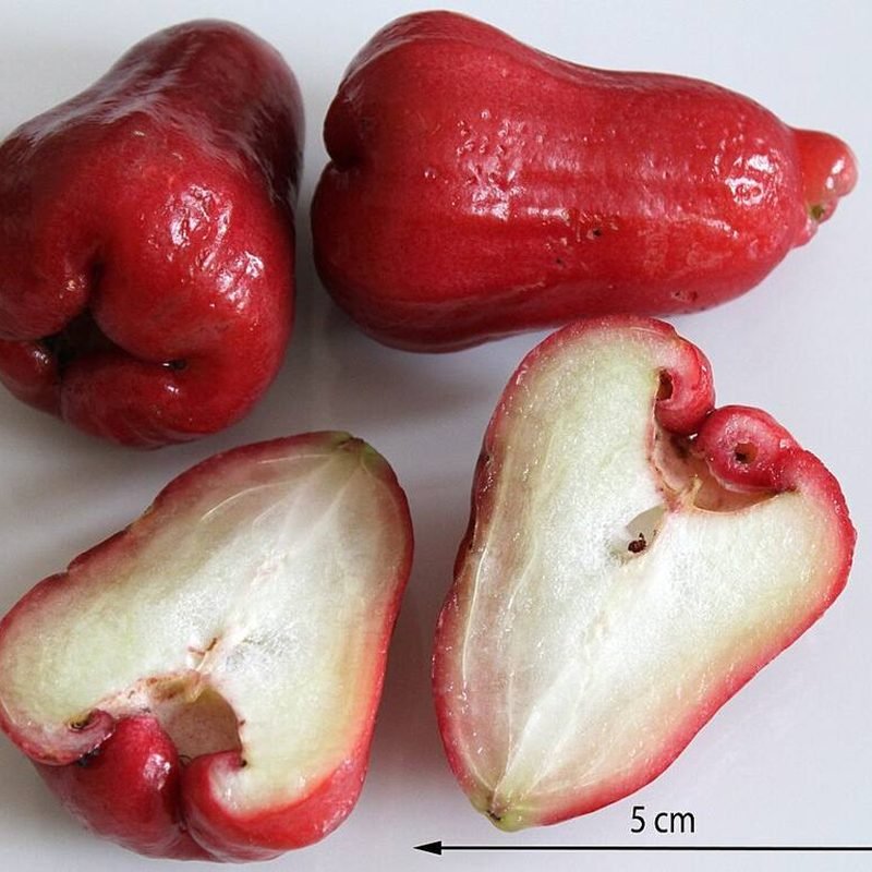 Jamrul (Water Apple)