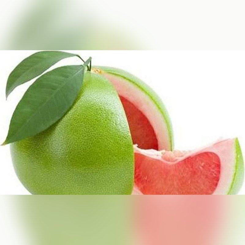 Gagar Nimbu