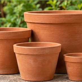 Terracotta Pot (Classic)
